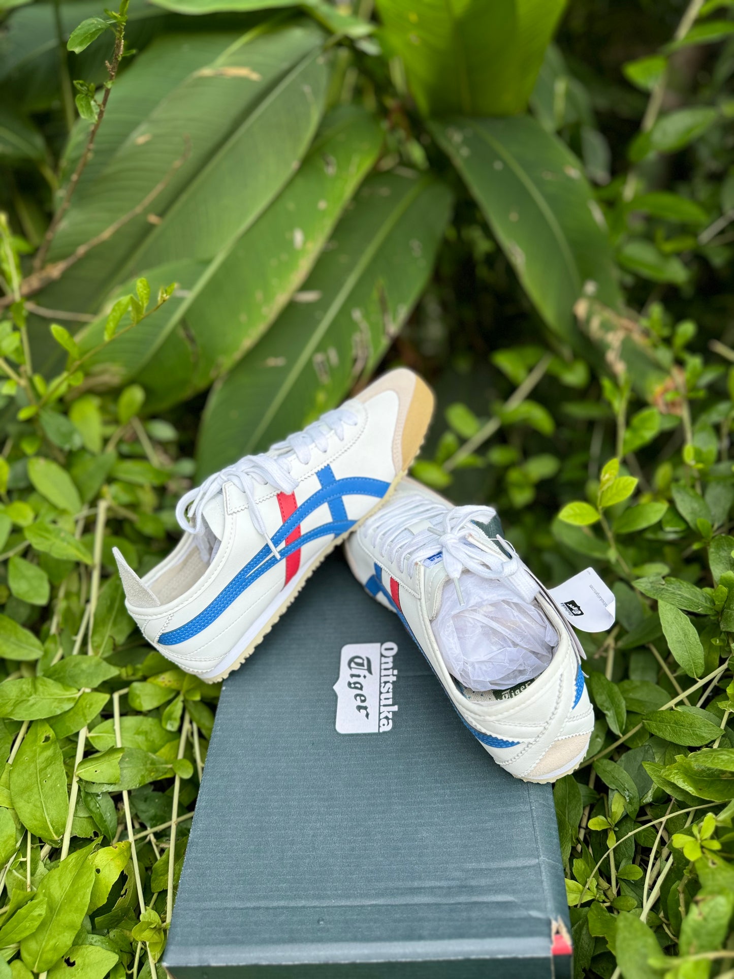 Onitsuka Tiger Mexico 66